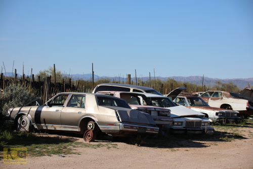 2023-BigCircleII-0467fhd