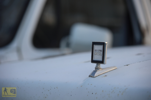 2023-BigCircleII-0550fhd