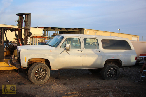 2023-BigCircleII-0575fhd