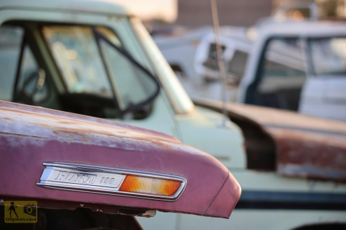 2023-BigCircleII-0587fhd