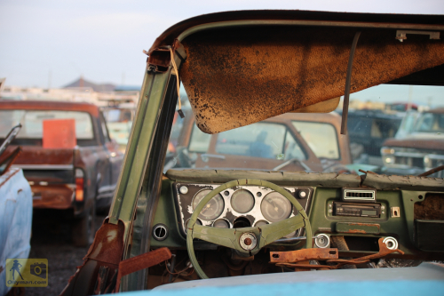 2023-BigCircleII-0597fhd