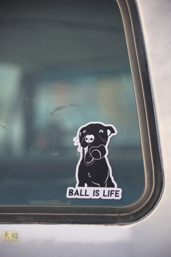 2023-BigCircleII-0635fhd