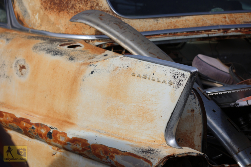 2023-BigCircleII-0653fhd