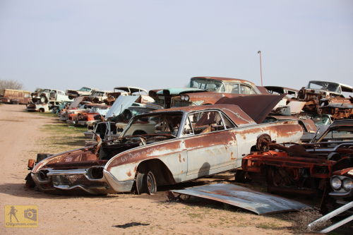 2023-BigCircleII-0690fhd