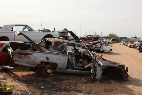 2023-BigCircleII-0695fhd