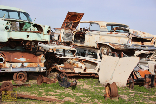 2023-BigCircleII-0698fhd