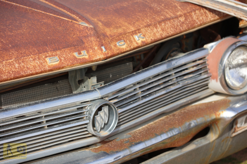 2023-BigCircleII-0736fhd