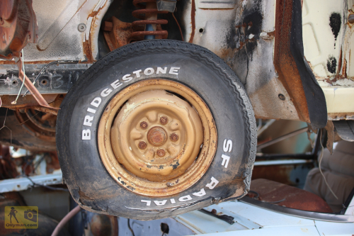 2023-BigCircleII-0879fhd