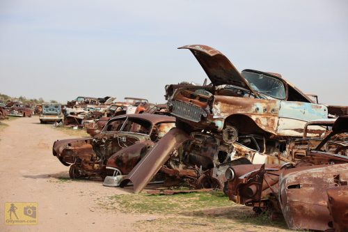 2023-BigCircleII-0890fhd