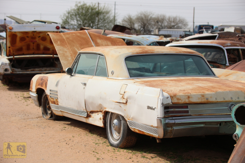 2023-BigCircleII-0899fhd