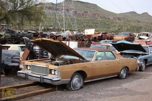 2023-BigCircleII-0931fhd