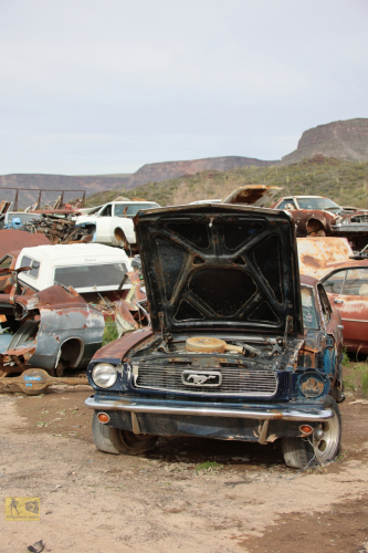 2023-BigCircleII-0946fhd