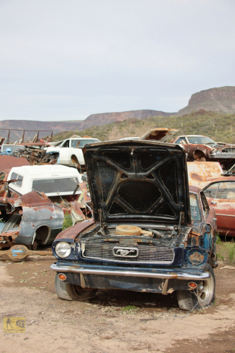 2023-BigCircleII-0947fhd