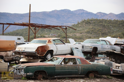 2023-BigCircleII-0954fhd