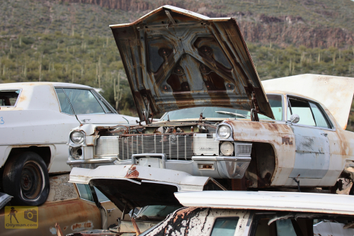 2023-BigCircleII-0959fhd