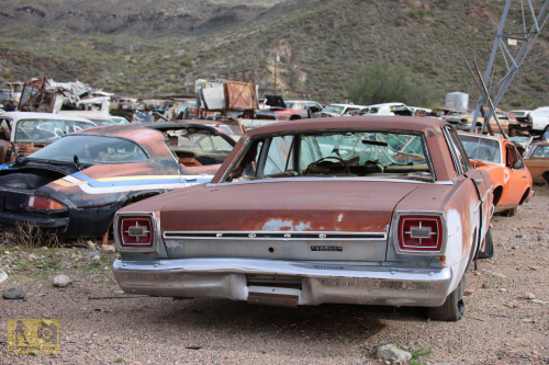 2023-BigCircleII-0964fhd