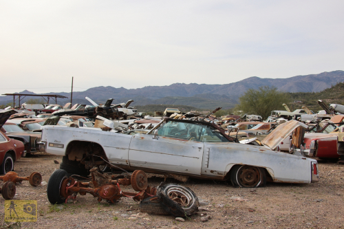 2023-BigCircleII-0966fhd