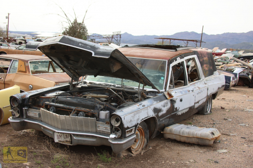 2023-BigCircleII-0968fhd