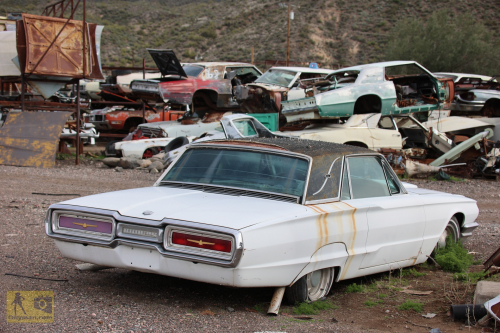 2023-BigCircleII-0969fhd