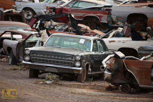 2023-BigCircleII-0972fhd