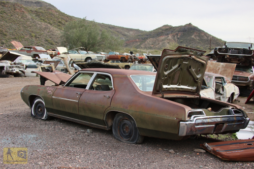 2023-BigCircleII-0974fhd