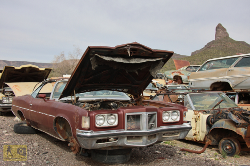 2023-BigCircleII-0976fhd