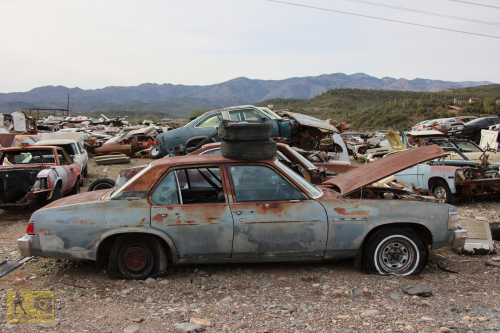 2023-BigCircleII-0977fhd