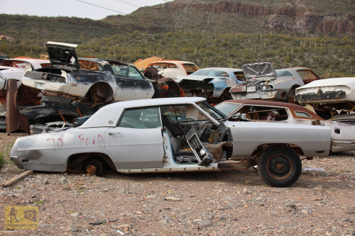 2023-BigCircleII-0978fhd