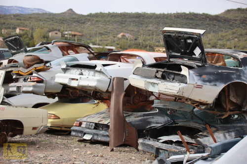 2023-BigCircleII-0979fhd