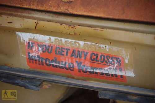 2023-BigCircleII-0990fhd