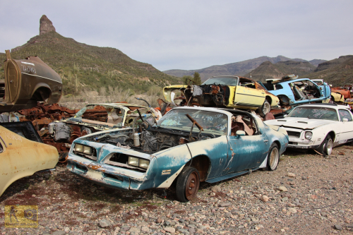 2023-BigCircleII-0992fhd