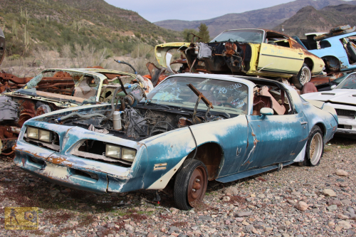 2023-BigCircleII-0993fhd