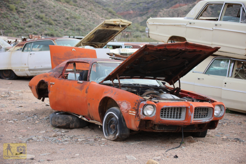 2023-BigCircleII-0994fhd