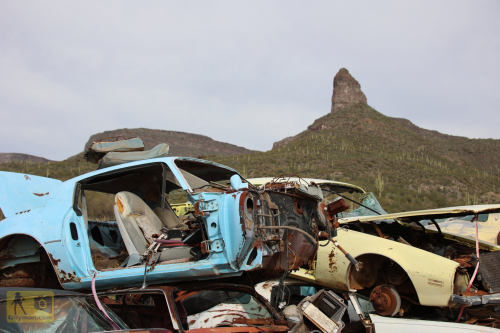 2023-BigCircleII-0995fhd