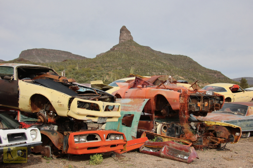 2023-BigCircleII-0996fhd