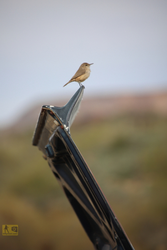 2023-BigCircleII-1002fhd