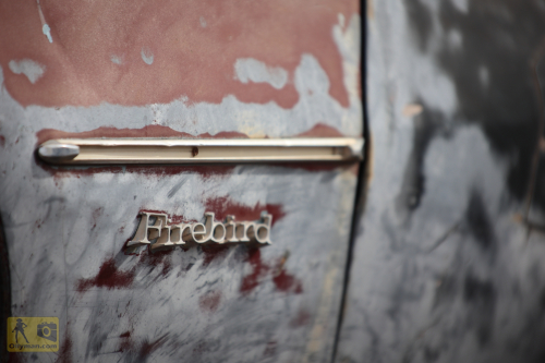 2023-BigCircleII-1004fhd