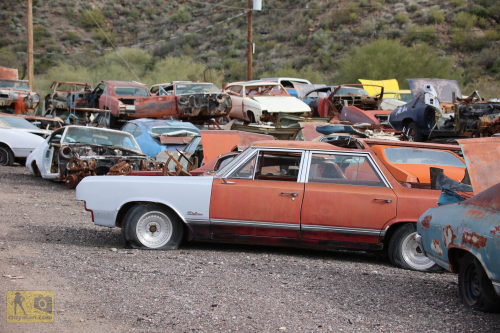 2023-BigCircleII-1038fhd