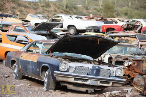 2023-BigCircleII-1044fhd