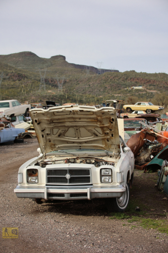 2023-BigCircleII-1051fhd