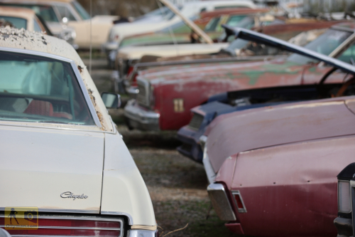 2023-BigCircleII-1086fhd