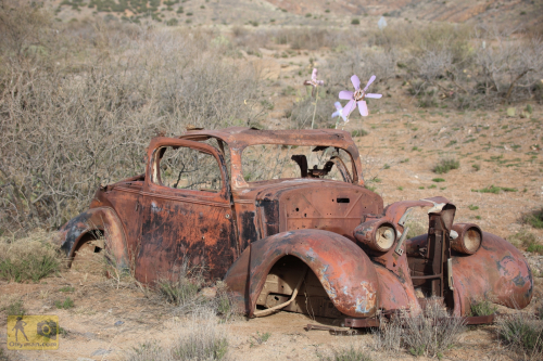 2023-BigCircleII-1102fhd