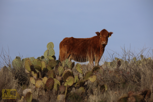 2023-BigCircleII-1105fhd