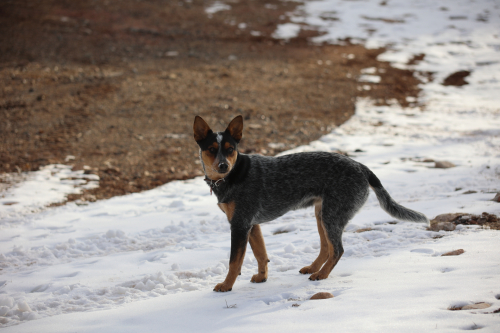 2023-BigCircleII-1119fhd