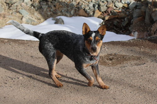 2023-BigCircleII-1140fhd