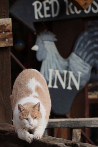 2023-BigCircleII-1153fhd