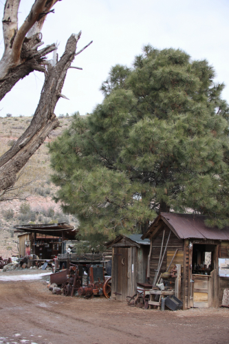 2023-BigCircleII-1292fhd