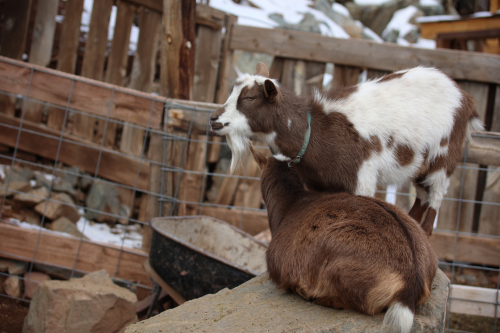 2023-BigCircleII-1293fhd