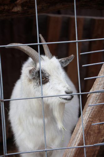 2023-BigCircleII-1294fhd