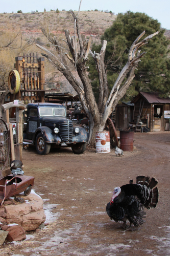 2023-BigCircleII-1296fhd